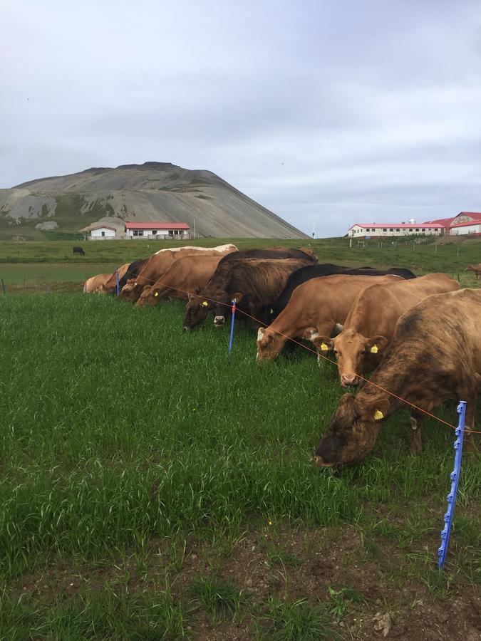 Eithi Farmhouse Grundarfjörður Eksteriør bilde